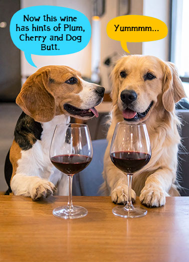 Tasteful Birthday Funny Dogs Card Funny A funny birthday card of two dogs drinking wine. | happy birthday tasteful drink wine Labrador Retriever beagle hints cherry butt funny humorous animals   Have a Tasteful Birthday!